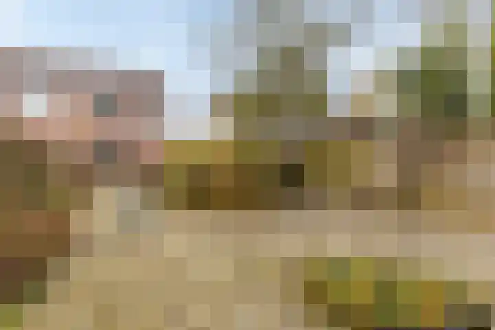 Boekweitkamp 10 Delfzijl thumbnail 34