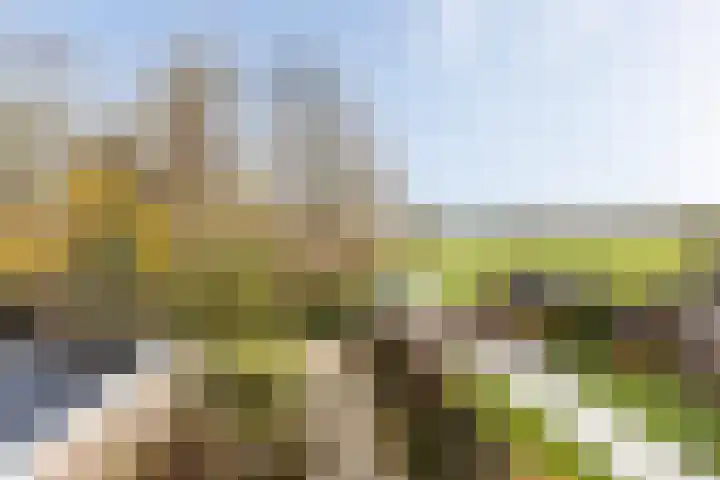 Boekweitkamp 10 Delfzijl thumbnail 36