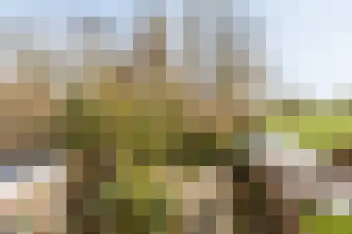 Boekweitkamp 10 Delfzijl thumbnail 37