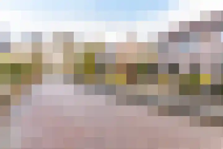 Boekweitkamp 10 Delfzijl thumbnail 4