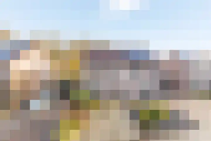 Boekweitkamp 10 Delfzijl thumbnail 5