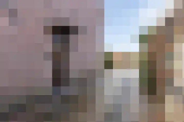 Boekweitkamp 10 Delfzijl thumbnail 7