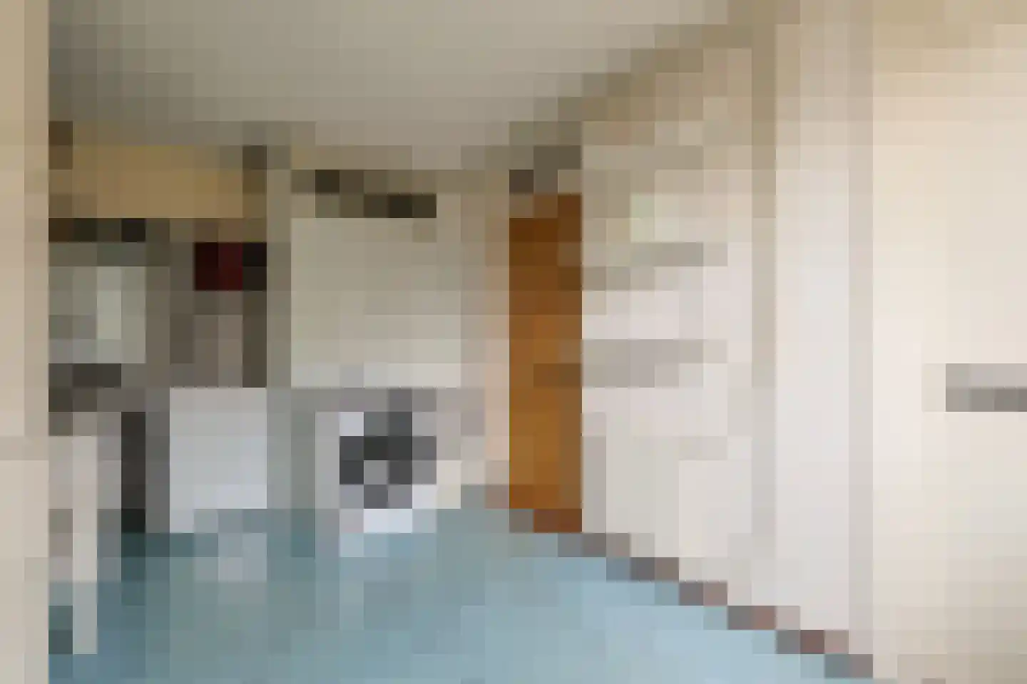 Boekweitkamp 2 Leiderdorp thumbnail 11