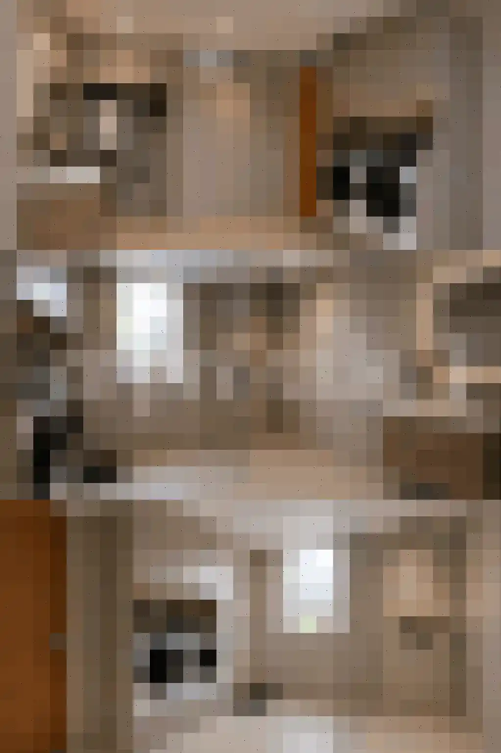 Boekweitkamp 2 Leiderdorp thumbnail 12