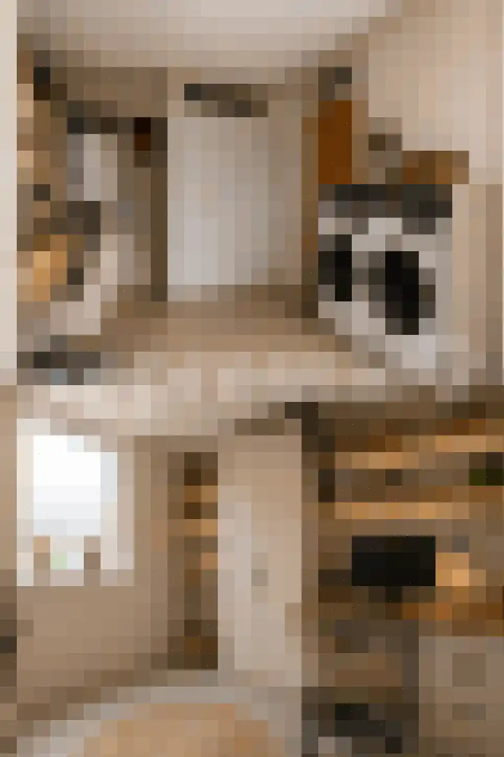 Boekweitkamp 2 Leiderdorp thumbnail 13
