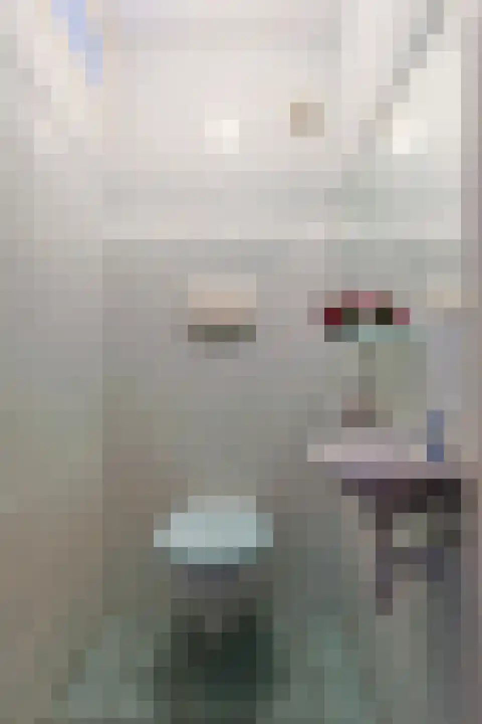 Boekweitkamp 2 Leiderdorp thumbnail 15