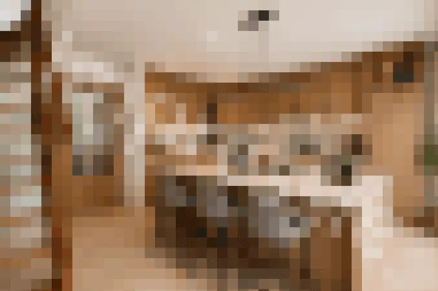 Boekweitkamp 2 Leiderdorp thumbnail 17