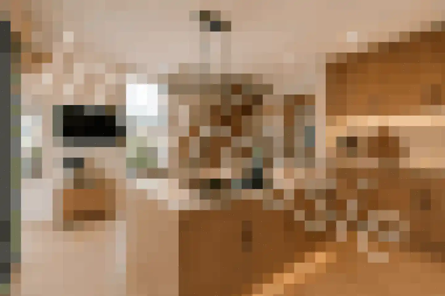 Boekweitkamp 2 Leiderdorp thumbnail 20