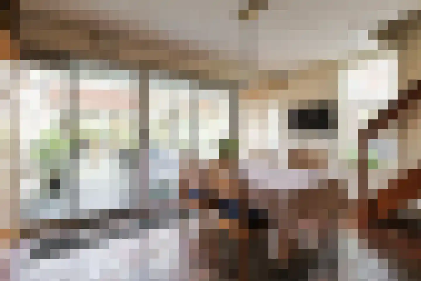 Boekweitkamp 2 Leiderdorp thumbnail 21
