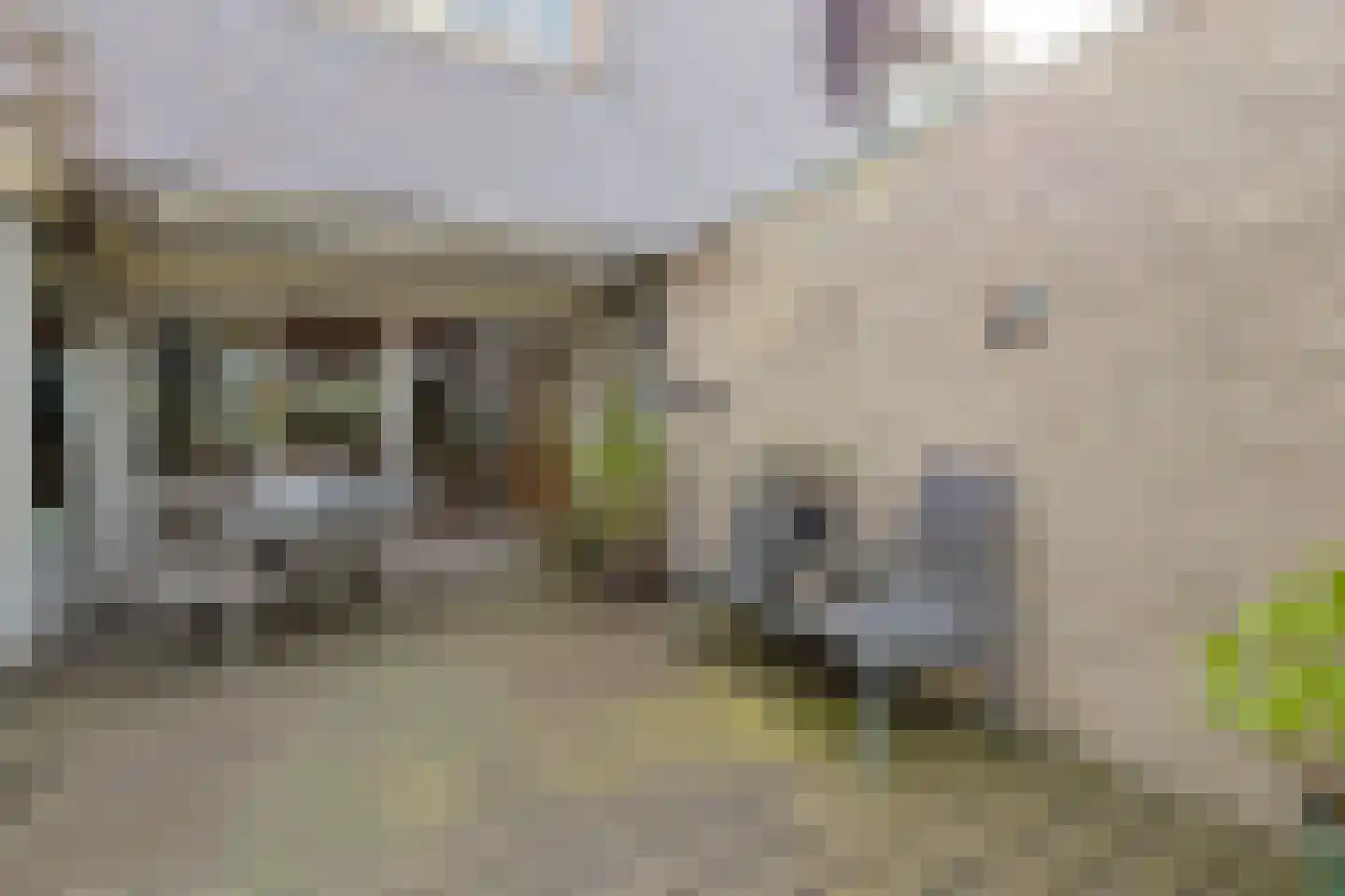 Boekweitkamp 2 Leiderdorp thumbnail 22