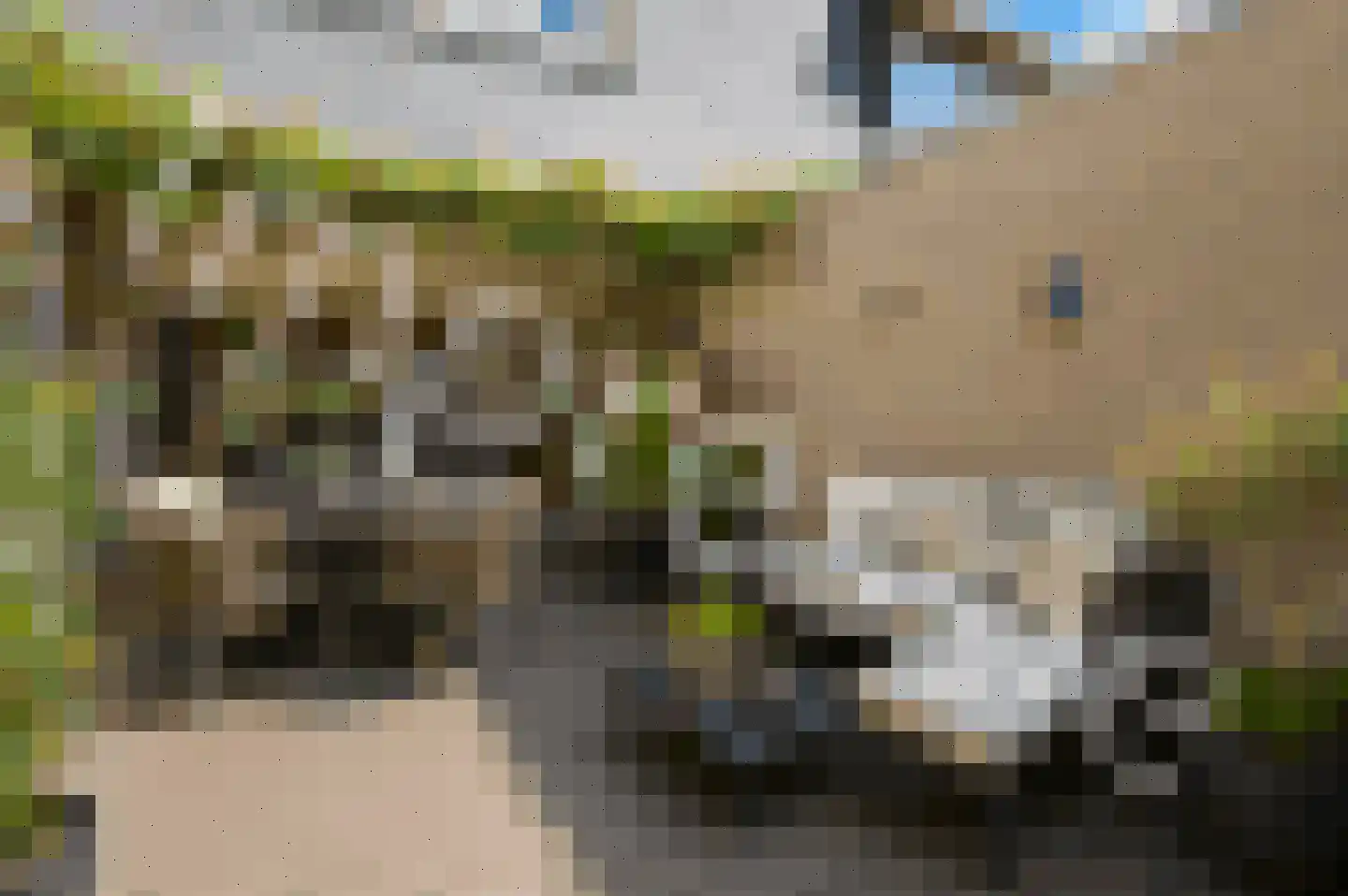 Boekweitkamp 2 Leiderdorp thumbnail 23