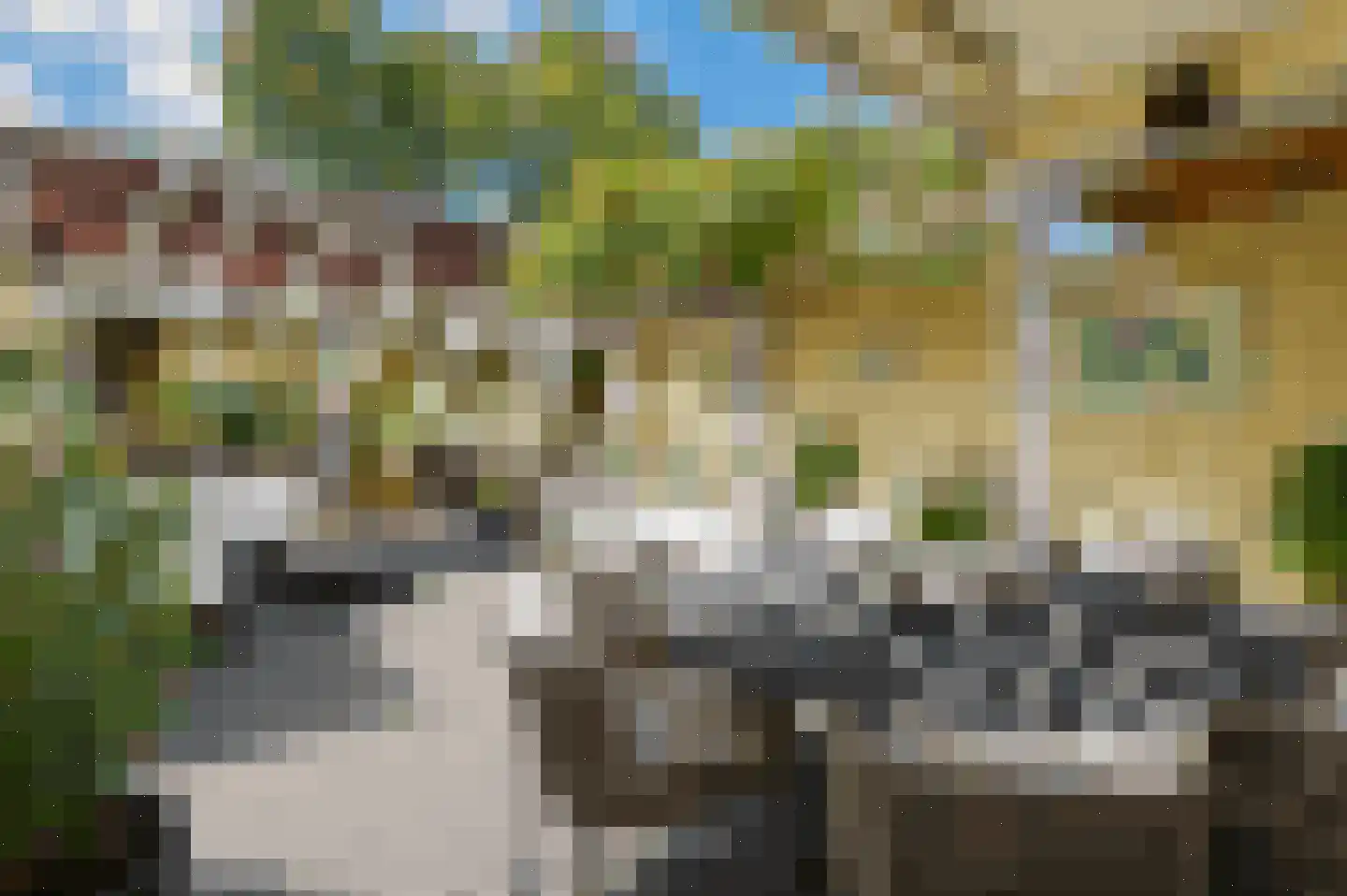 Boekweitkamp 2 Leiderdorp thumbnail 27