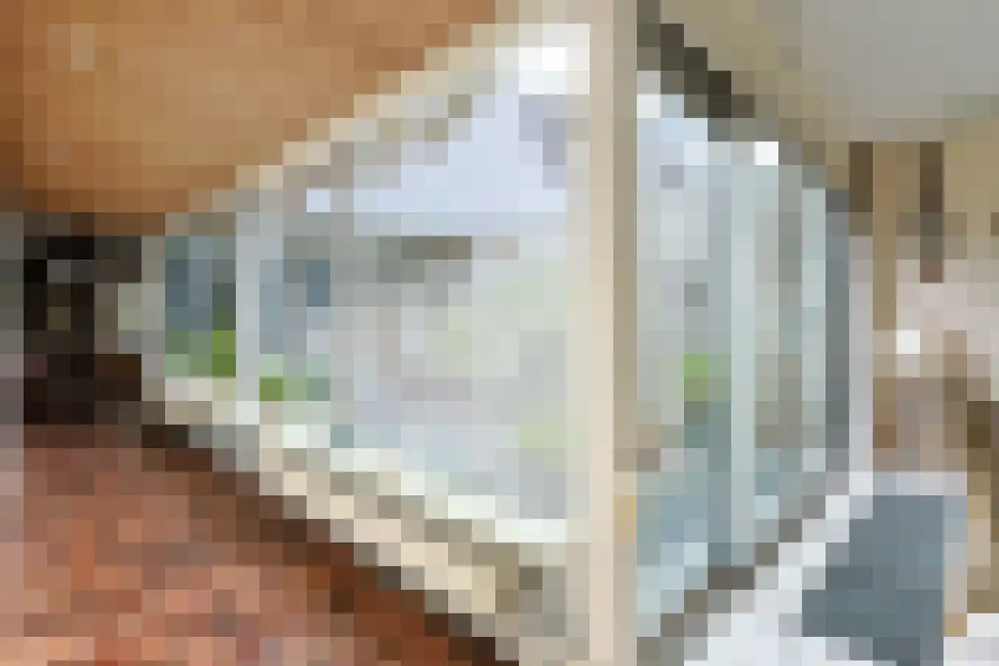 Boekweitkamp 2 Leiderdorp thumbnail 29