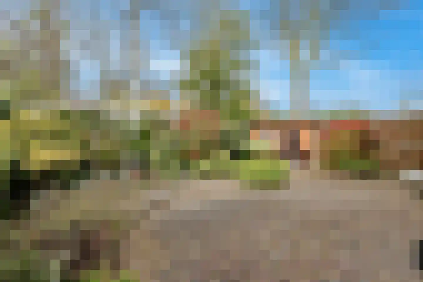 Boekweitkamp 2 Leiderdorp foto 3