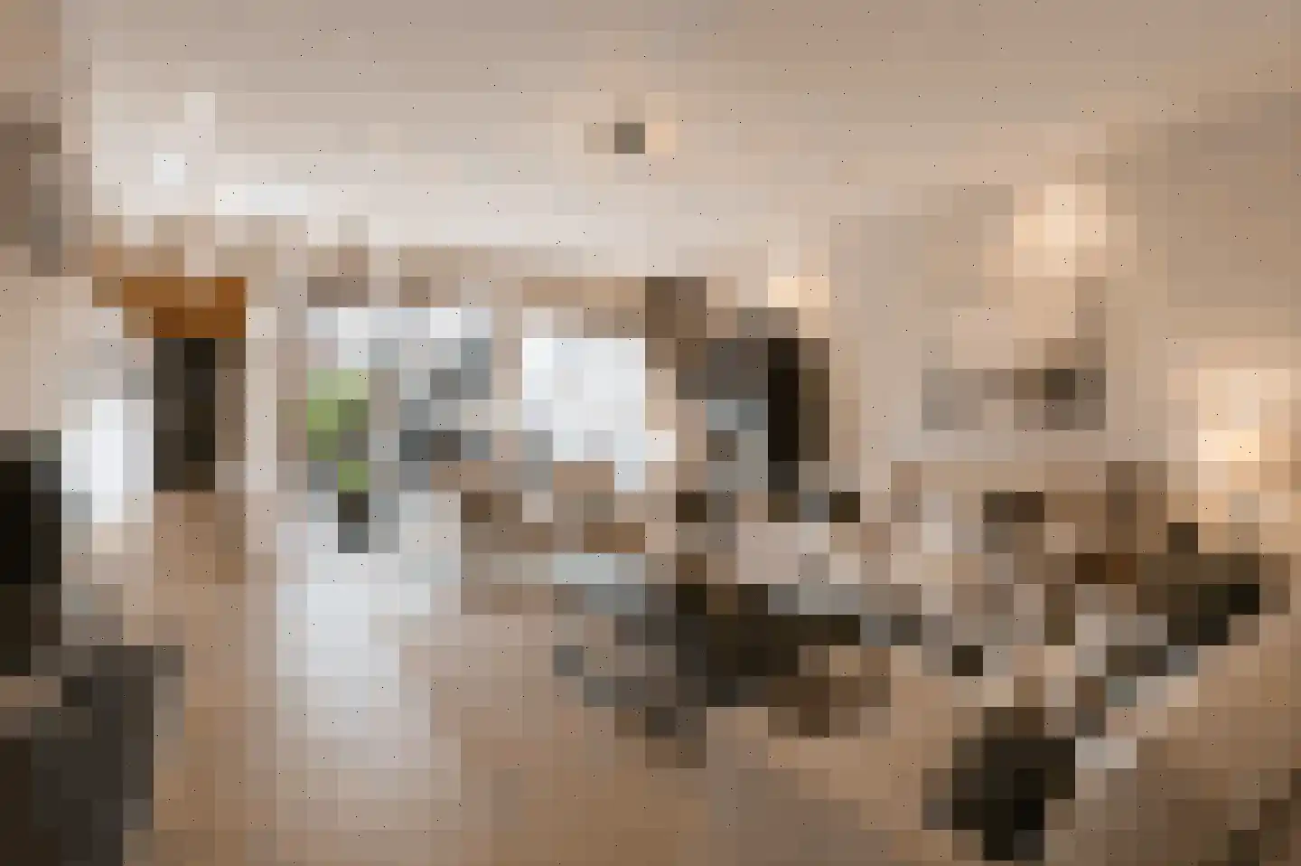 Boekweitkamp 2 Leiderdorp thumbnail 31