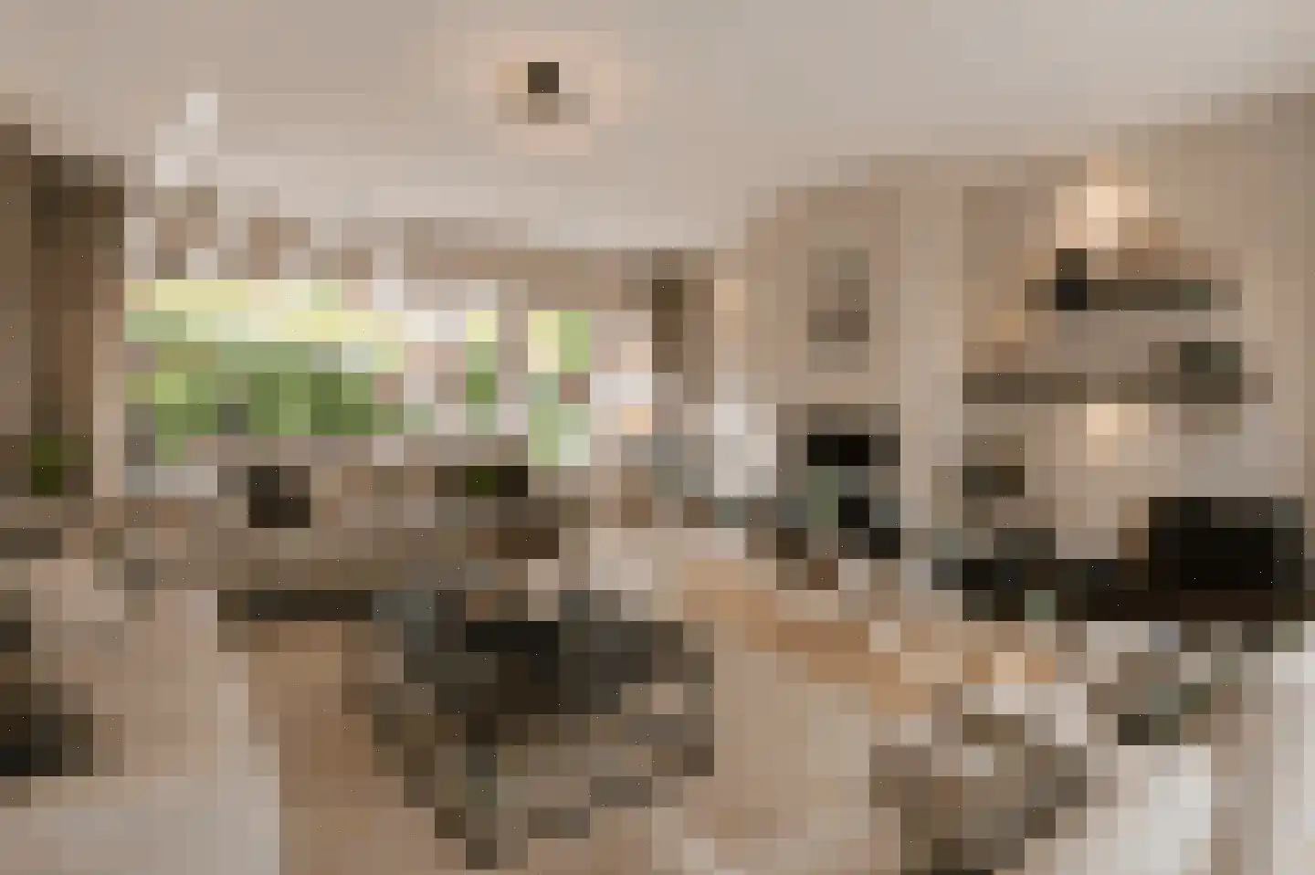 Boekweitkamp 2 Leiderdorp thumbnail 34