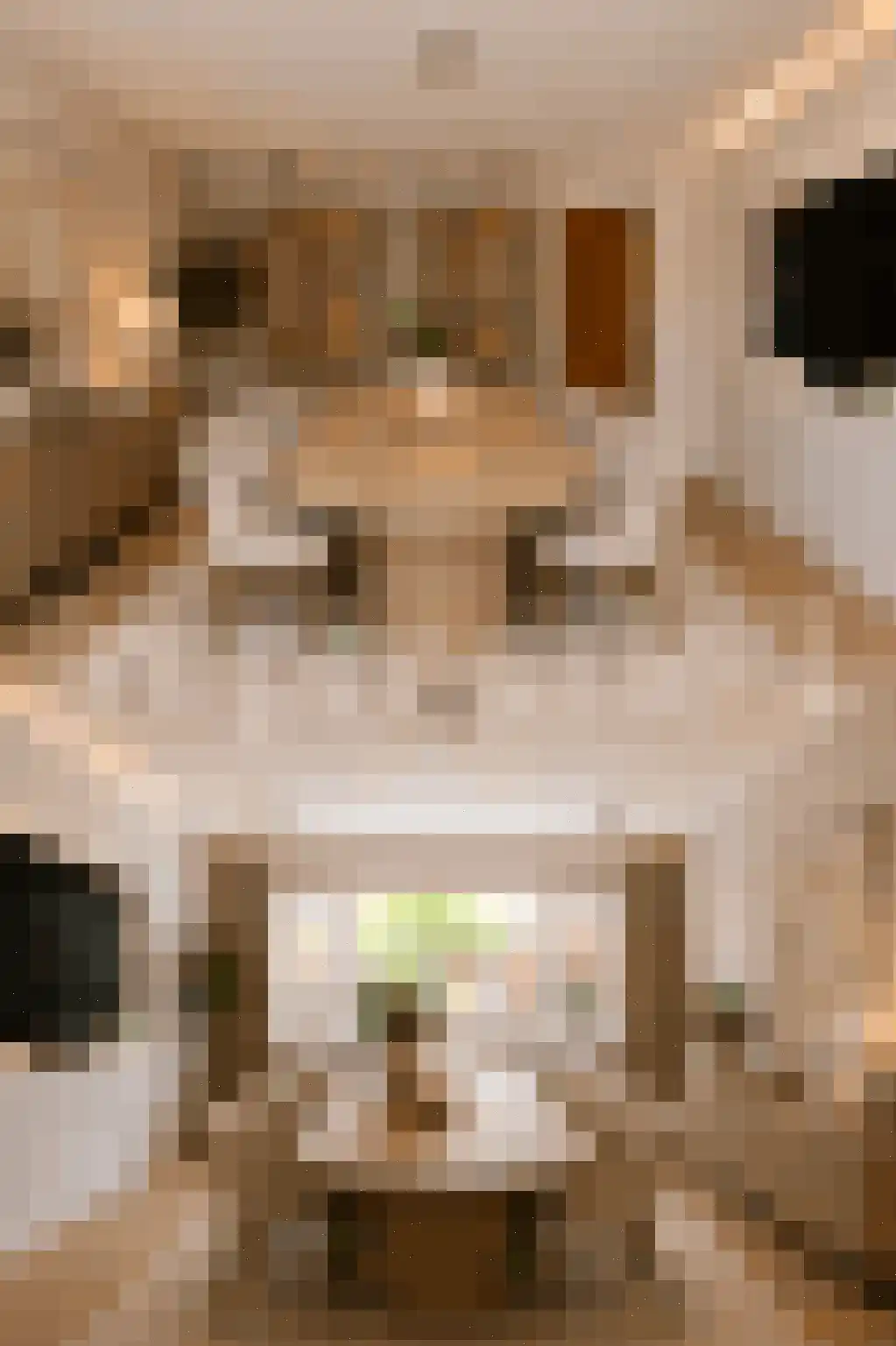 Boekweitkamp 2 Leiderdorp thumbnail 41