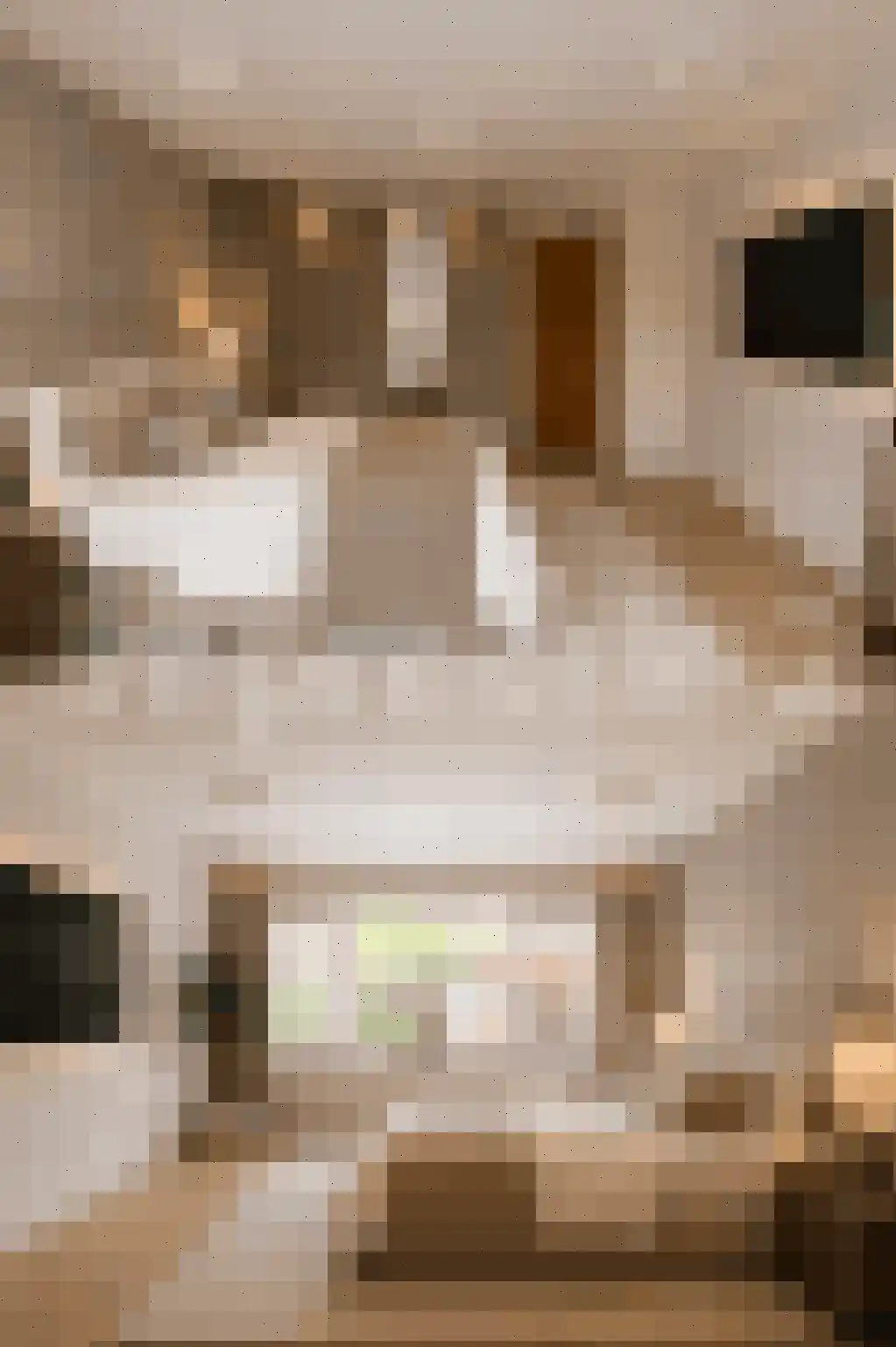 Boekweitkamp 2 Leiderdorp thumbnail 42