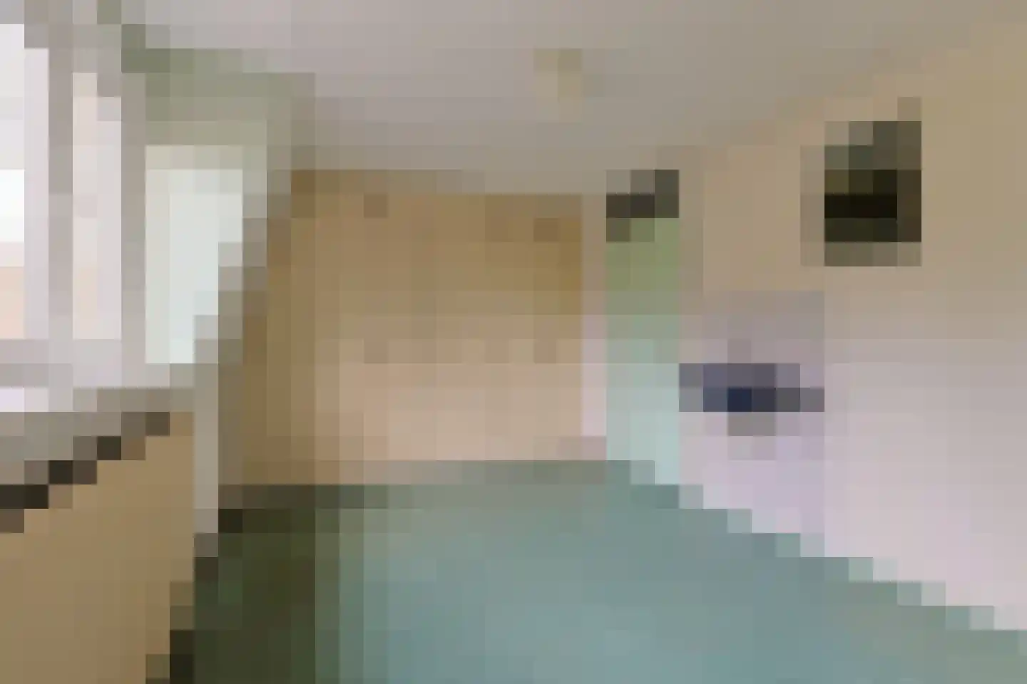 Boekweitkamp 2 Leiderdorp thumbnail 49
