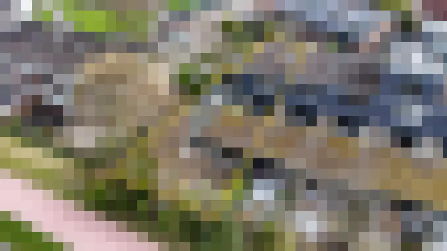 Boekweitkamp 2 Leiderdorp thumbnail 50