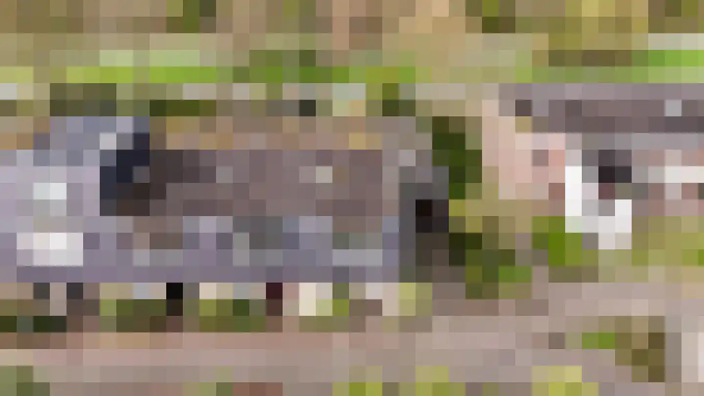 Boekweitkamp 2 Leiderdorp thumbnail 51