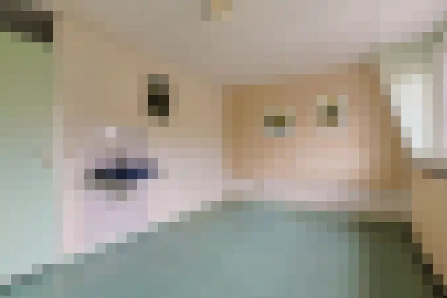 Boekweitkamp 2 Leiderdorp thumbnail 56