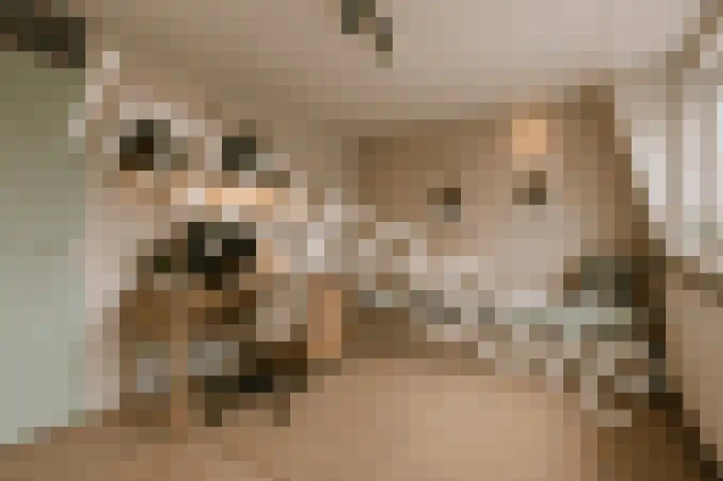 Boekweitkamp 2 Leiderdorp thumbnail 57