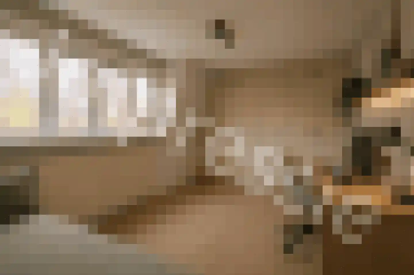 Boekweitkamp 2 Leiderdorp thumbnail 59
