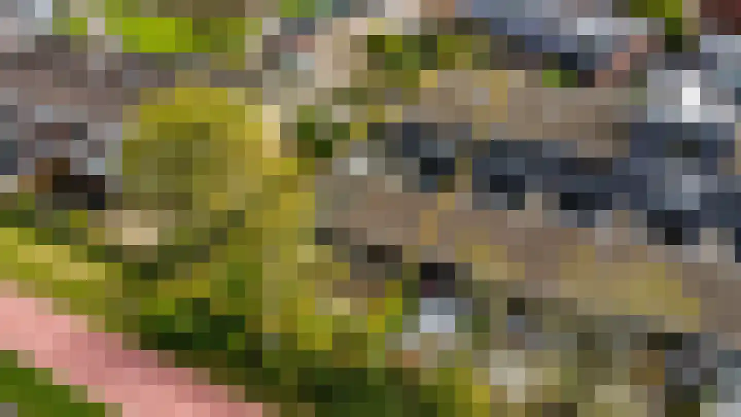 Boekweitkamp 2 Leiderdorp thumbnail 60