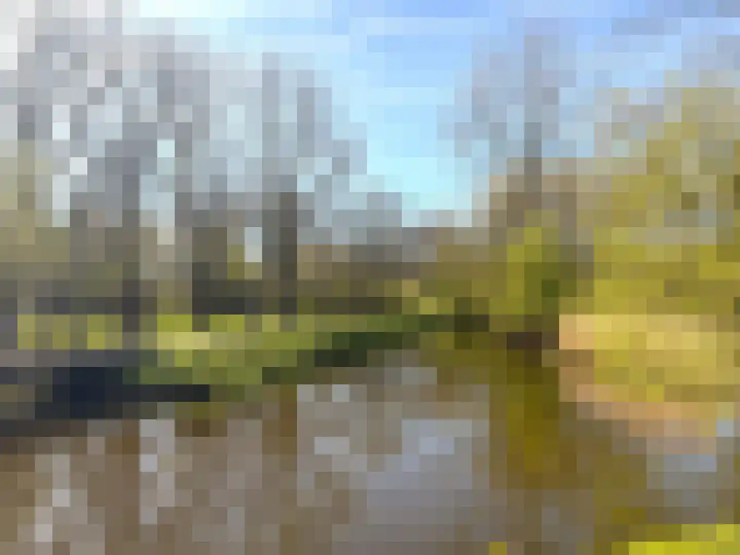 Boekweitkamp 2 Leiderdorp thumbnail 63