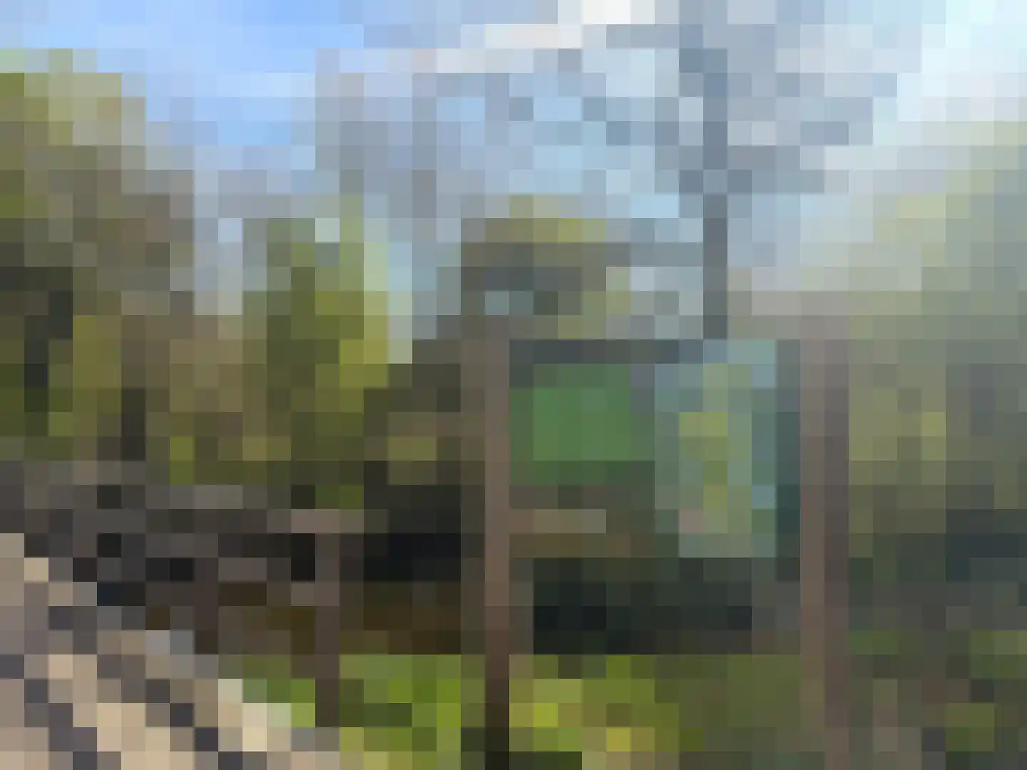 Boekweitkamp 2 Leiderdorp thumbnail 64