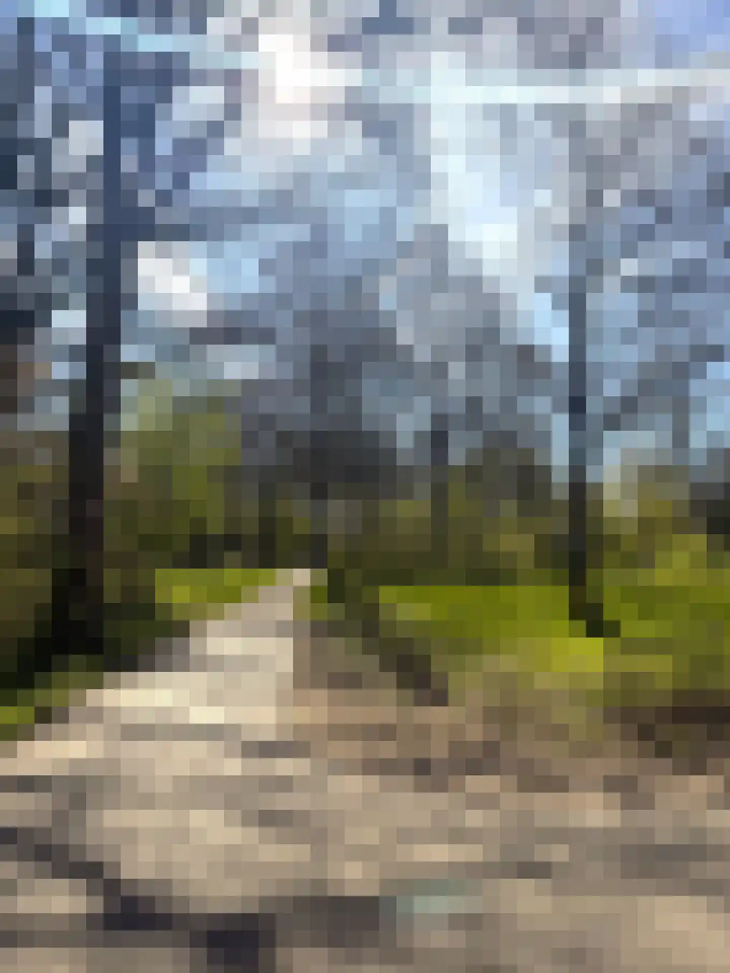 Boekweitkamp 2 Leiderdorp thumbnail 66