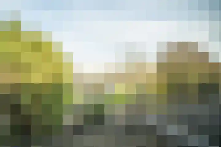 Boekweitkamp 23 Leiderdorp thumbnail 25