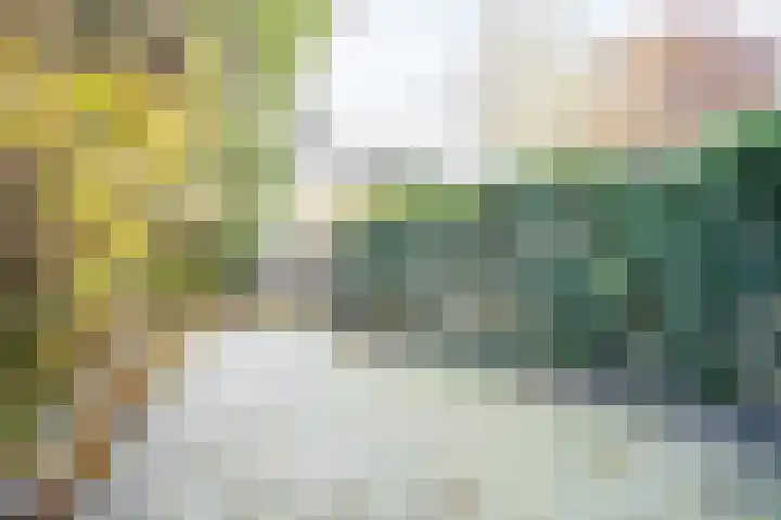 Boekweitkamp 23 Leiderdorp thumbnail 37