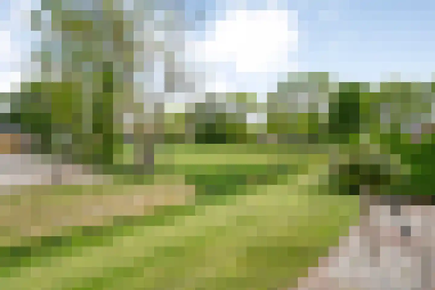 Boekweitkamp 6 Ruinerwold thumbnail 28