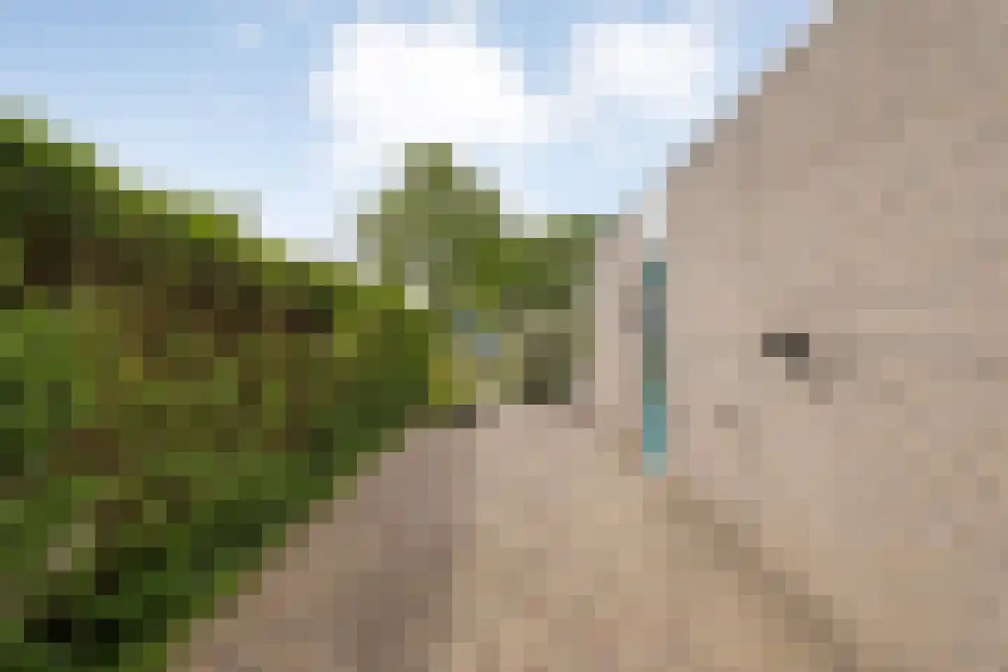 Boekweitkamp 6 Ruinerwold thumbnail 29