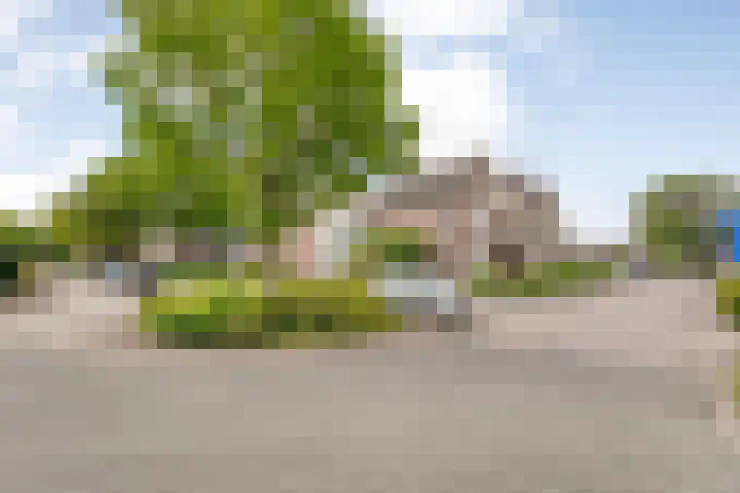 Boekweitkamp 6 Ruinerwold thumbnail 33