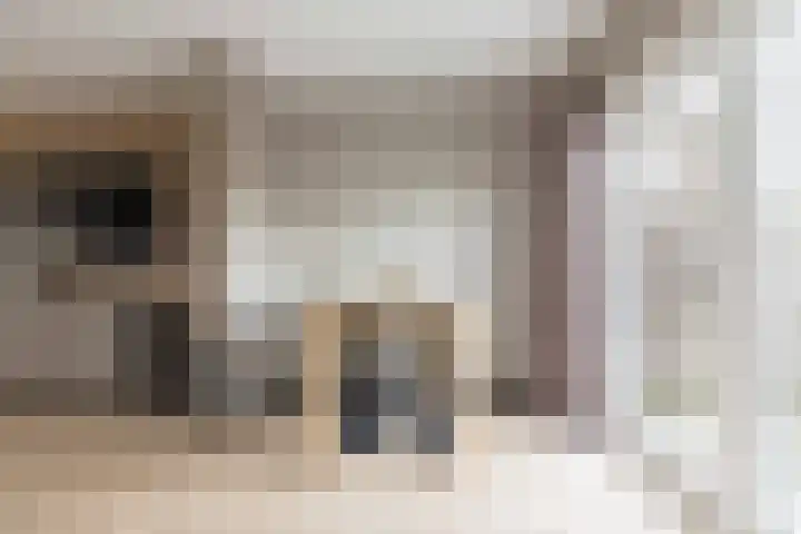 Boekweitlaan 19 Hoogeveen thumbnail 15