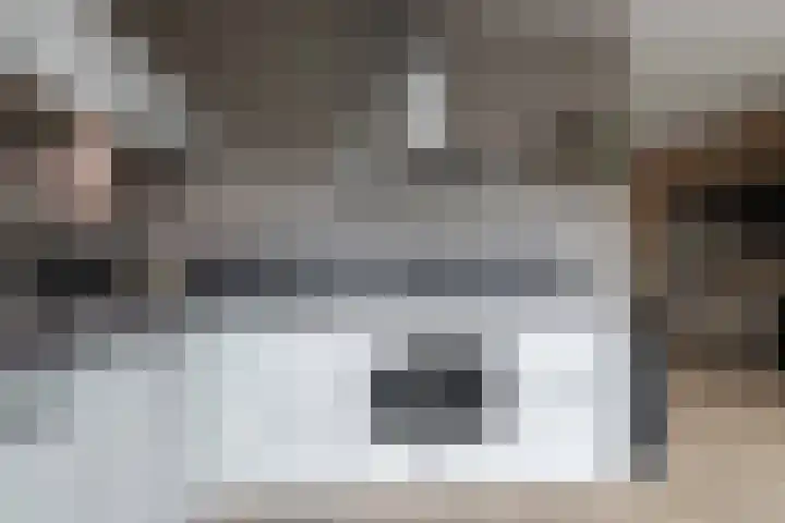 Boekweitlaan 19 Hoogeveen thumbnail 19