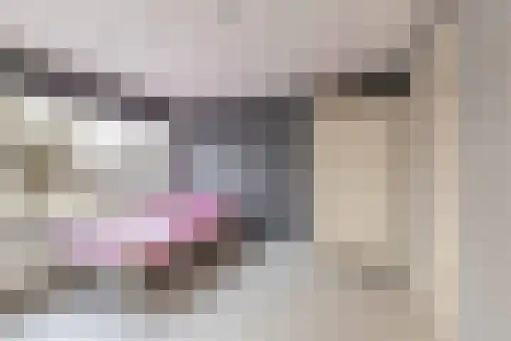 Boekweitlaan 19 Hoogeveen thumbnail 25