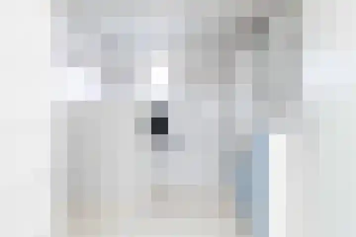 Boekweitlaan 19 Hoogeveen thumbnail 32