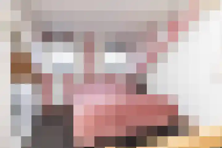 Boekweitlaan 19 Hoogeveen thumbnail 36