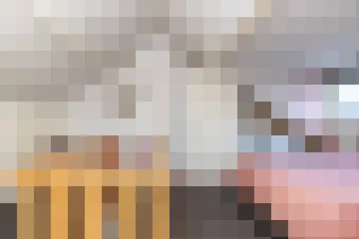 Boekweitlaan 19 Hoogeveen thumbnail 37