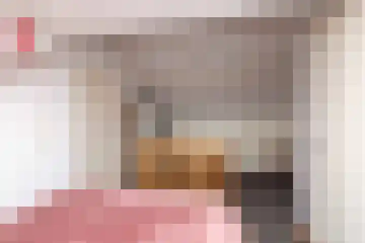 Boekweitlaan 19 Hoogeveen thumbnail 38