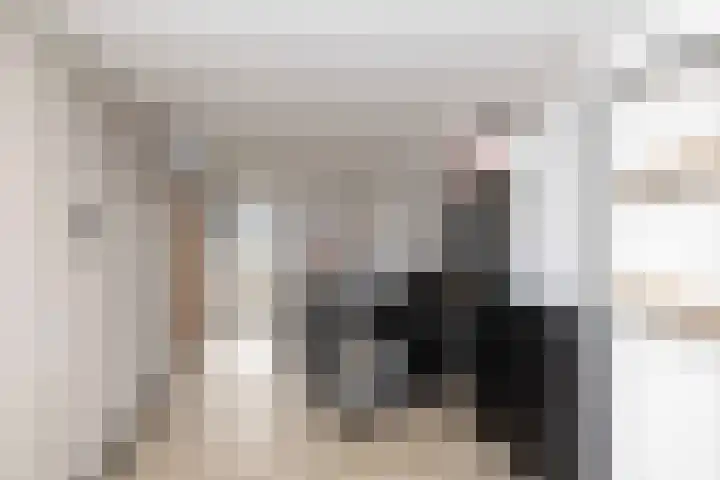 Boekweitlaan 19 Hoogeveen thumbnail 42