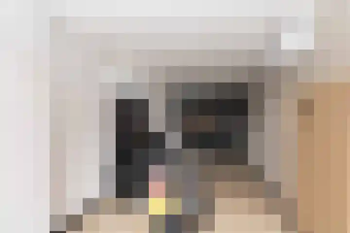 Boekweitlaan 19 Hoogeveen thumbnail 43