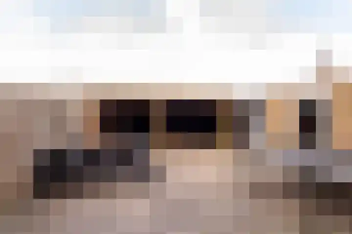 Boekweitlaan 19 Hoogeveen thumbnail 45