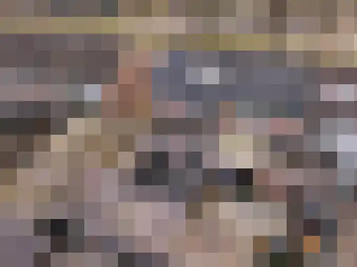 Boekweitlaan 19 Hoogeveen thumbnail 5