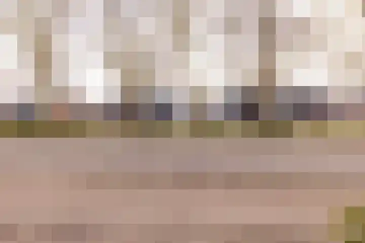 Boekweitlaan 19 Hoogeveen thumbnail 51