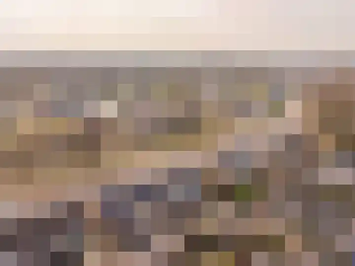 Boekweitlaan 19 Hoogeveen thumbnail 57